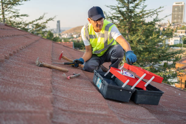 Shed Removal in Clearlake Oaks, CA